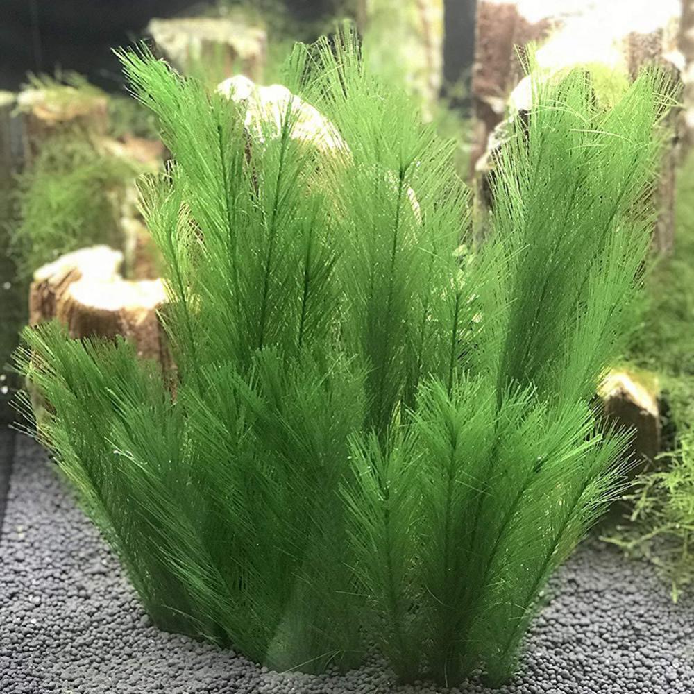 Live Plant Aquarium - 1/3Pcs 28/40cm Aquarium Aquarium Künstliche Wasser