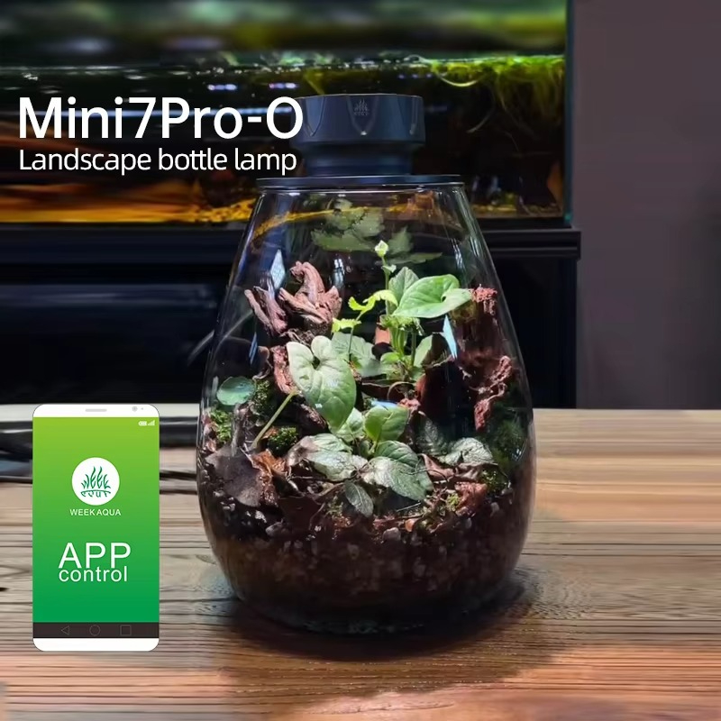 Planted Tank - COB Microlandscape Pflanze Füllen Licht Desktop