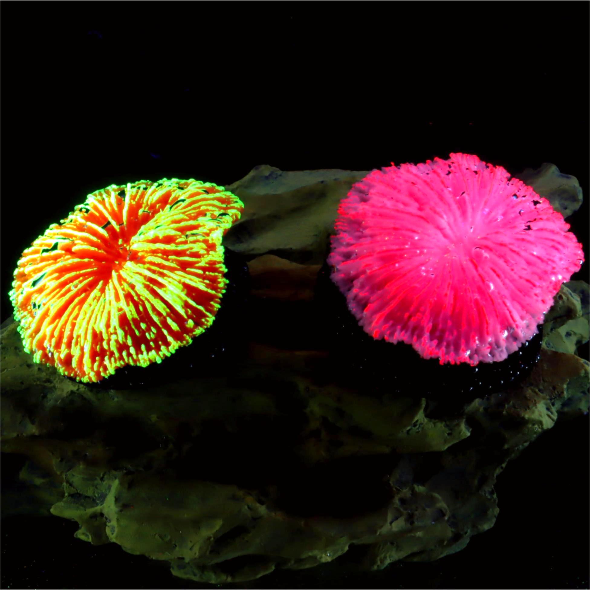 Live Plant Aquarium - 1 Stück Aquarium-Dekoration, Koralle, Mini-Fluoreszenz-Koralle, für