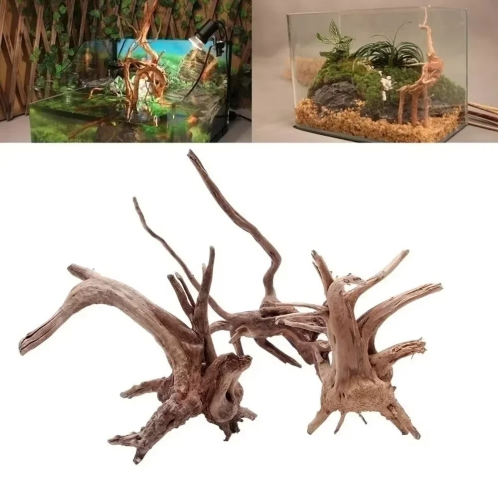 Aquarium Driftwood - 15-20CM Natürliches Treibholz Aquarium-Dekoration - Premium
