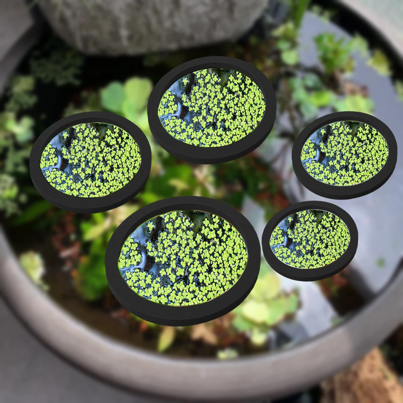 Planted Tank - 5Pcs EVA Fisch Fütterung Ring Aquarium