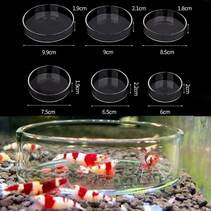 Aquarium Fertilizer - Garnelen Futternapf Hohe Transparente Glas Futternapf