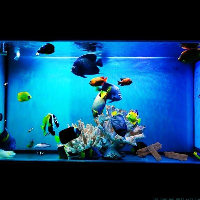 Aquarium Dekoration Baumstamm  – Aquarium Plant Substrate Bewertung und Preis