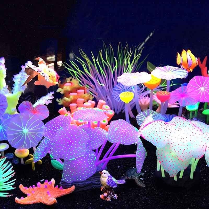 Leuchtende Silikon-Korallen un – Live Plant Aquarium Bewertung und Preis