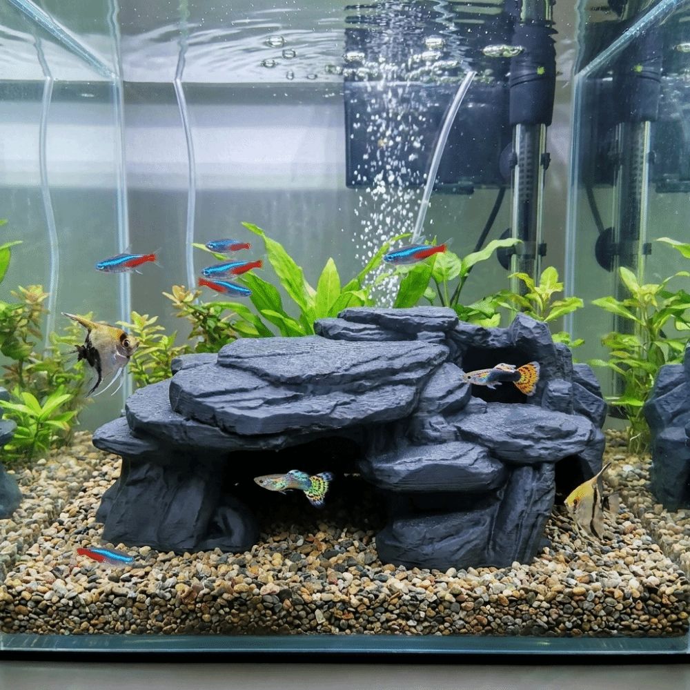 3D-gedruckte Fischbecken-Felse – Aquarium Driftwood Bewertung und Preis