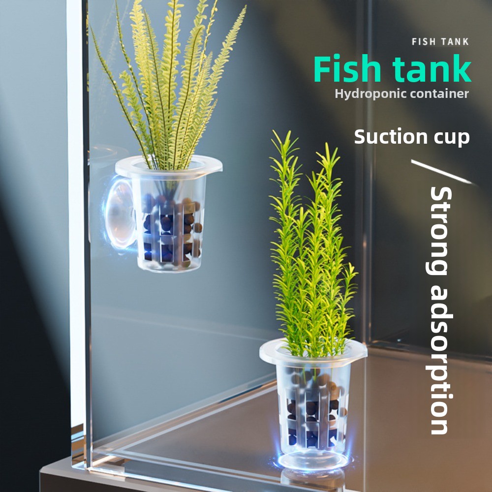 10 Stück Transparente Hydrokul – Plant Aquarium Pot Bewertung und Preis