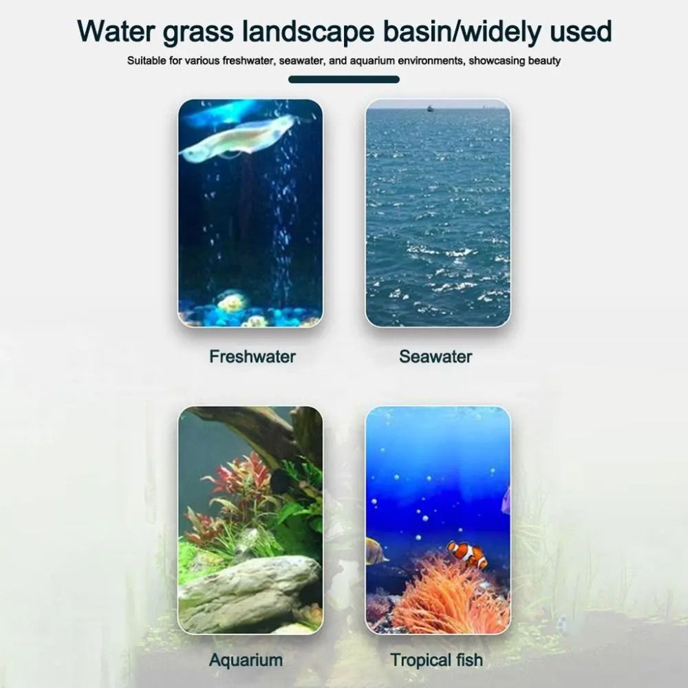10 Stück Transparente Hydrokul – Plant Aquarium Pot Bewertung und Preis