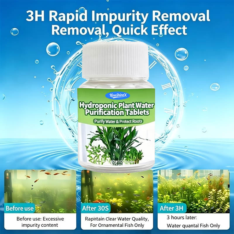 Hydroponische Wasserreinigungs – Plant Aquarium Pot Bewertung und Preis