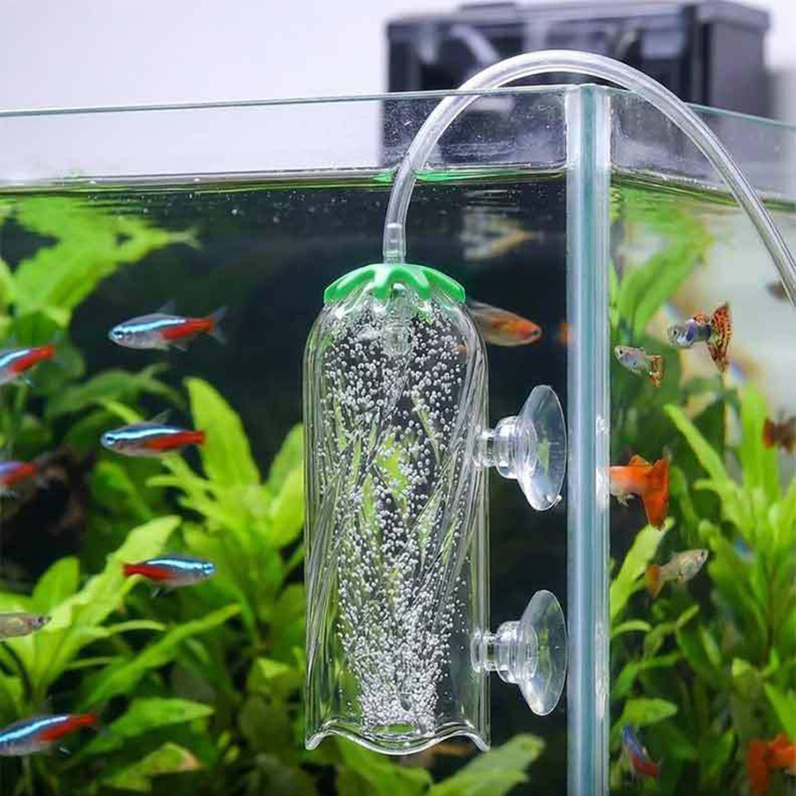 Sauerstoffdiffusor für Aquarie – Aquarium Planted Tank Filter Bewertung und Preis