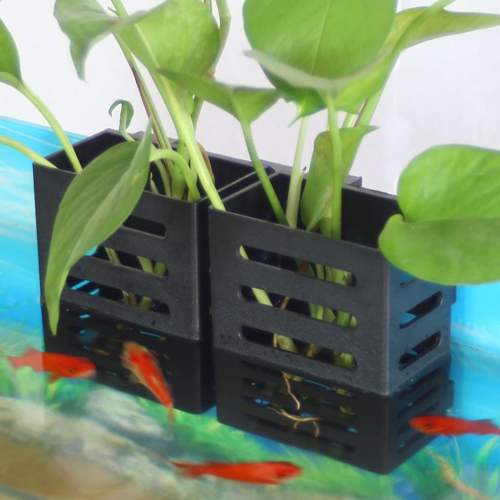 Aquarium-Pflanzenhalter mit Ha – Aquarium Plant Holder Bewertung und Preis