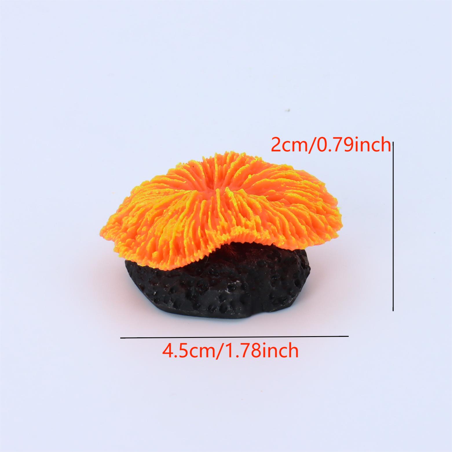 1 Stück Aquarium-Dekoration, K – Live Plant Aquarium Bewertung und Preis