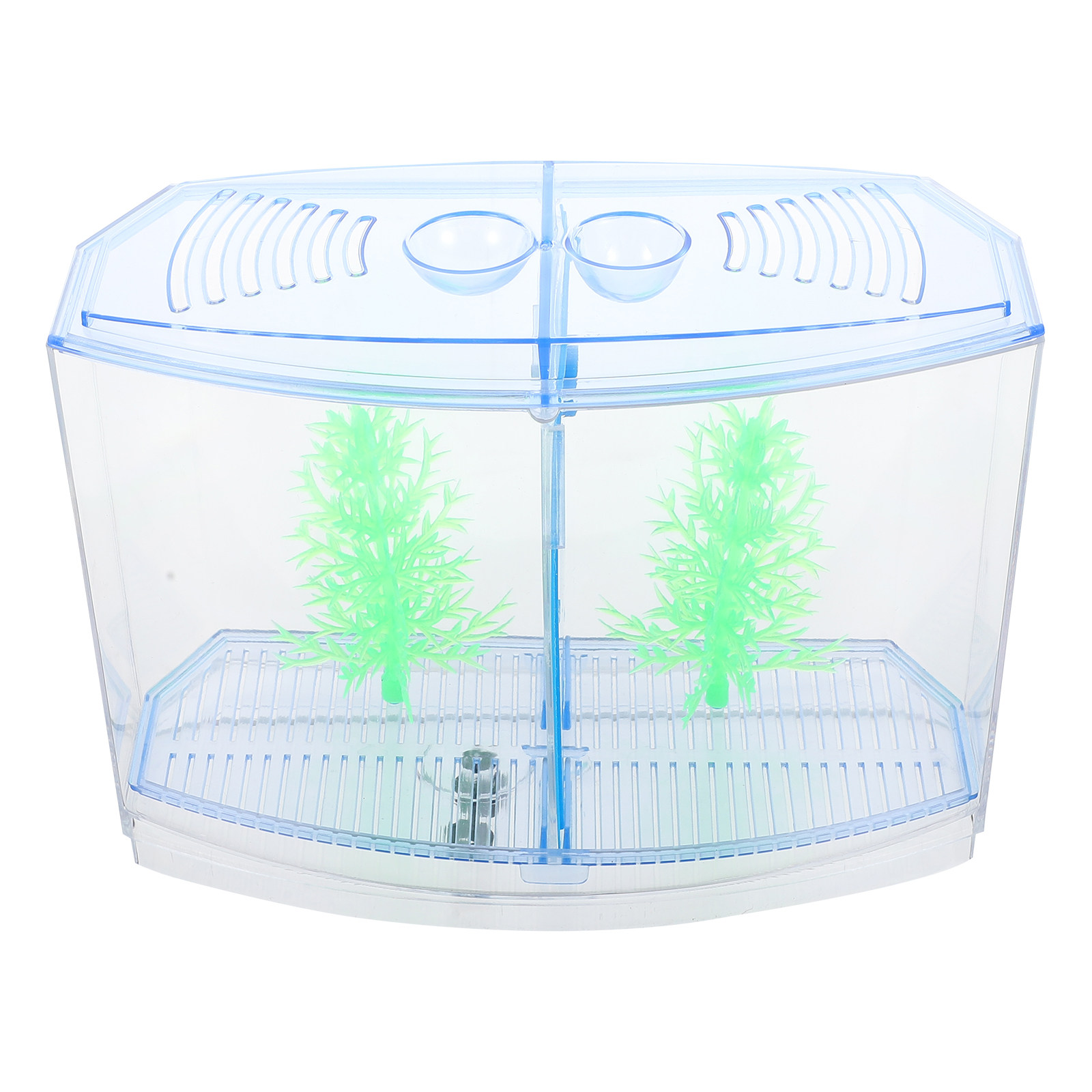 1 Set Kompaktes Acryl-Aquarium – Live Plant Aquarium Bewertung und Preis