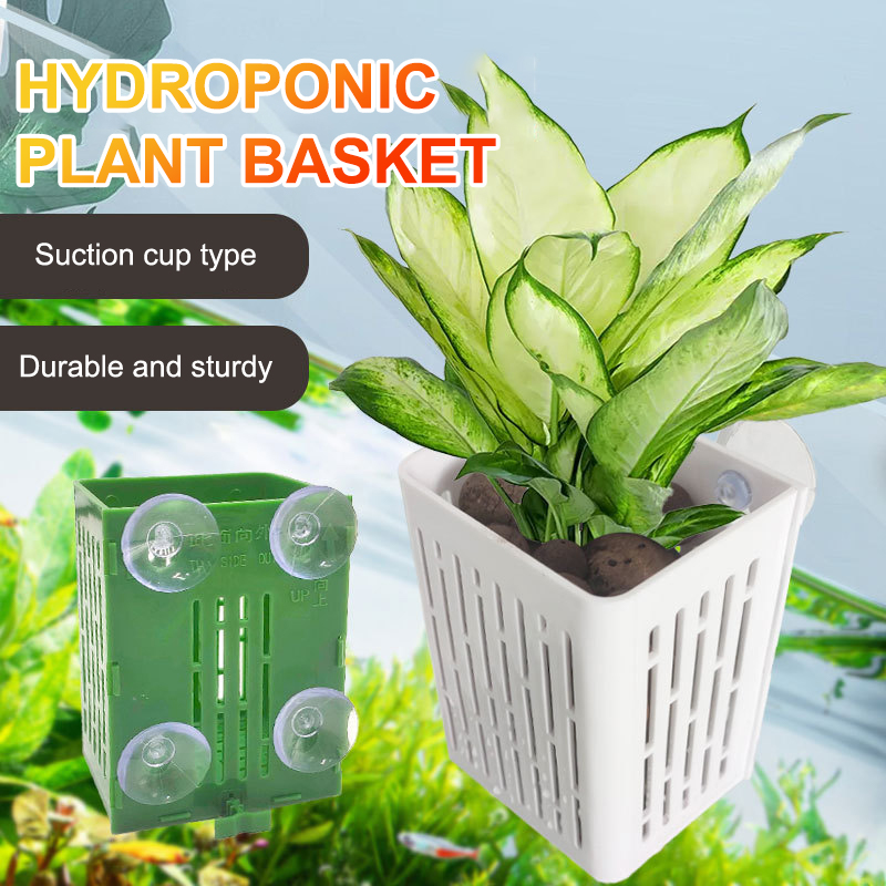 Hängende Saugnapf Haken Aquari – Plant Aquarium Pot Bewertung und Preis