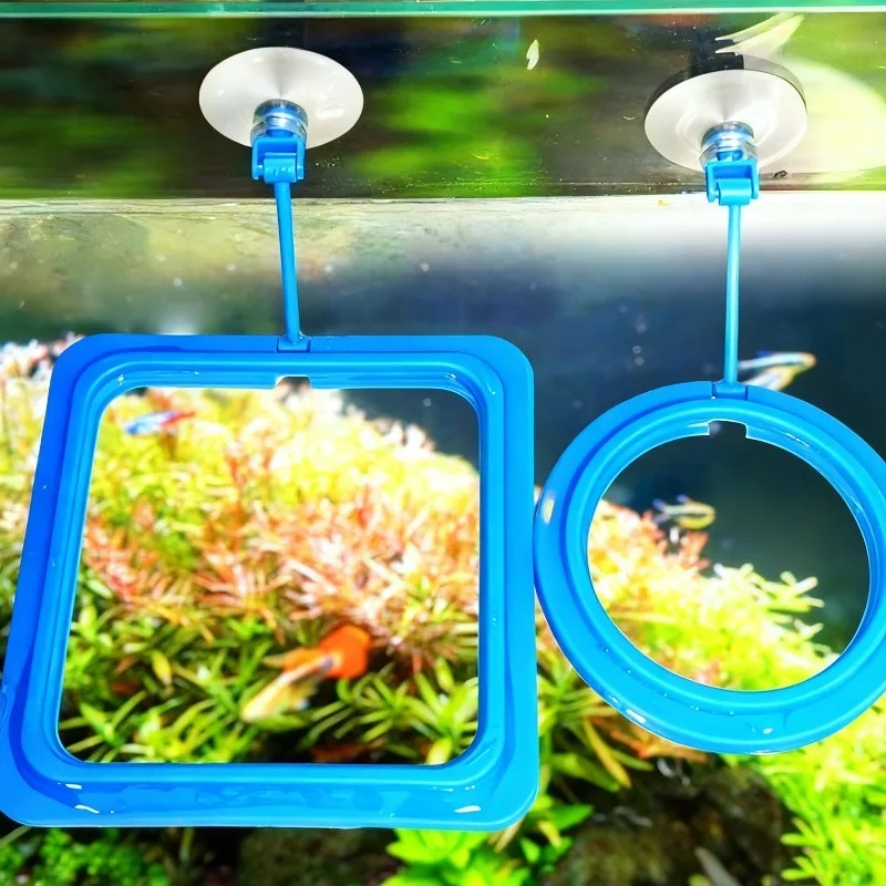 Aquarium-Futterring, Fischbeck – Aquarium Fertilizer Bewertung und Preis