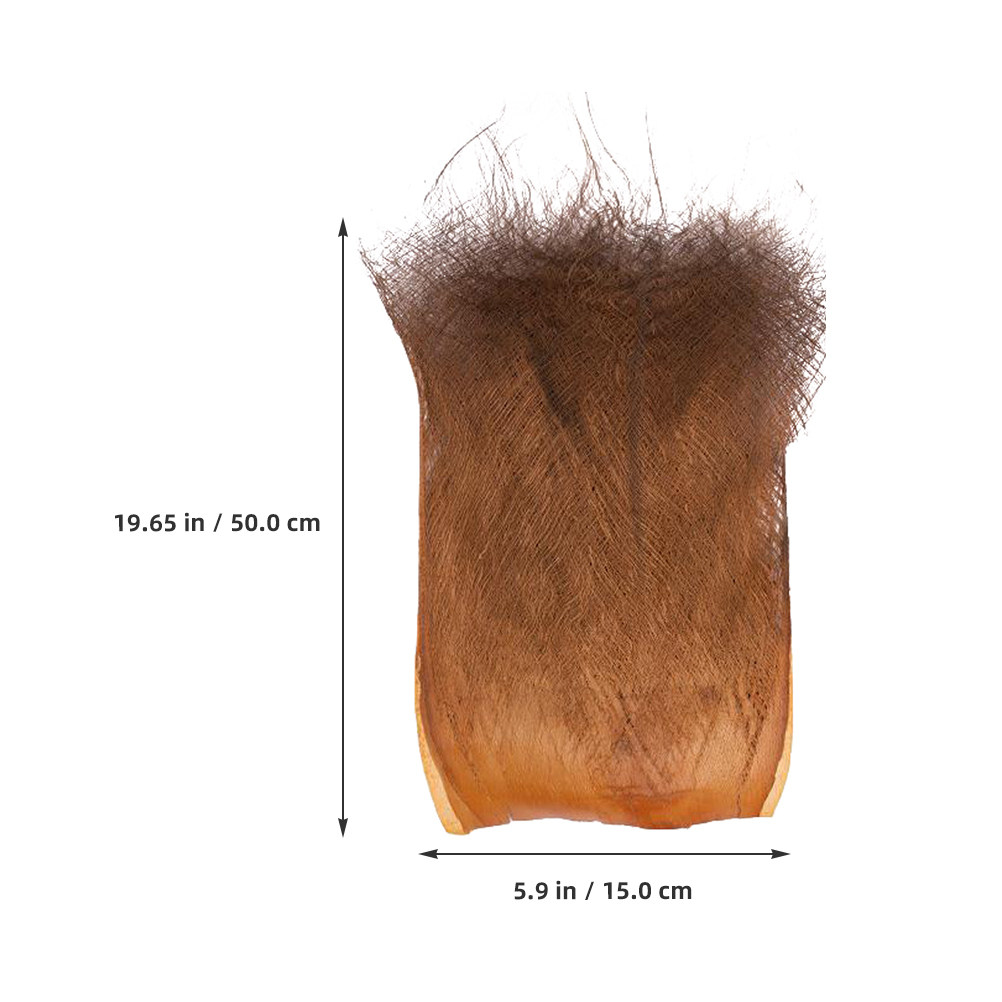 5 Blatt Natürliche Palmenrinde – Plant Aquarium Pot Bewertung und Preis