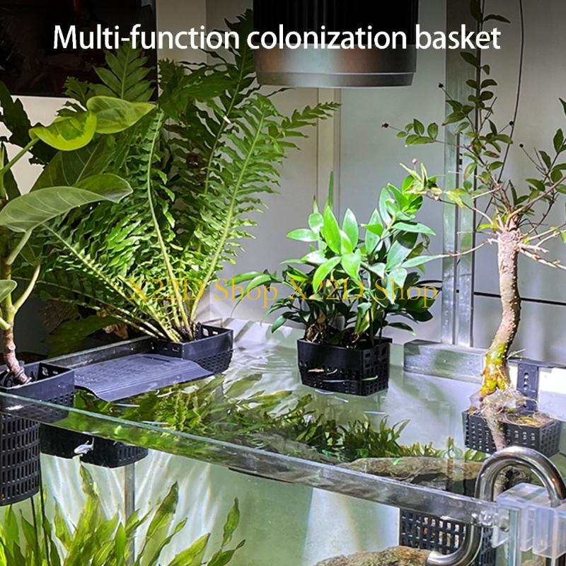 X22D Moderner vertikaler Pflan – Plant Aquarium Pot Bewertung und Preis