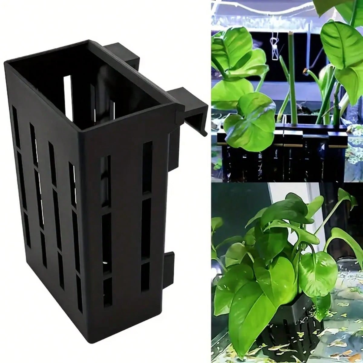 Aquarium-Pflanzenhalter, schwa – Aquarium Plant Holder Bewertung und Preis