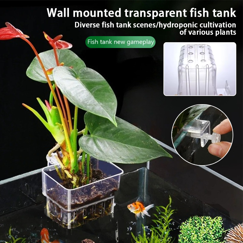 Aquarium Hängepflanzgefäße Wan – Plant Aquarium Pot Bewertung und Preis