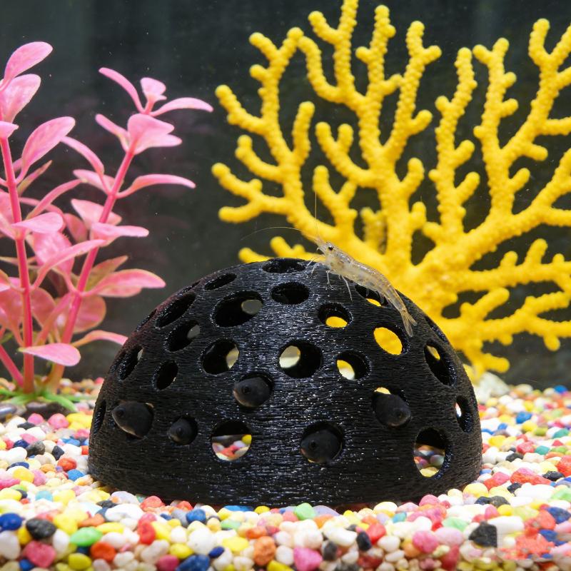 Versteckte Höhle für kleine Fi – Aquarium Plants Live Bewertung und Preis
