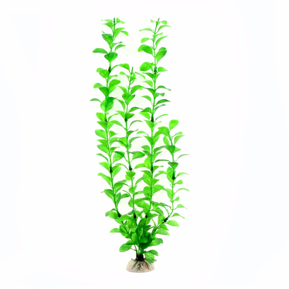 Ornament, Aquarium-Zubehör, kü – Live Plant Aquarium Bewertung und Preis