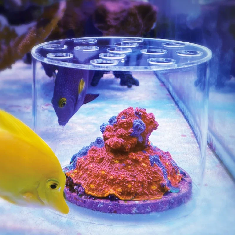 Vastocean Aquarium Acryl-Koral – Aquarium Fertilizer Bewertung und Preis