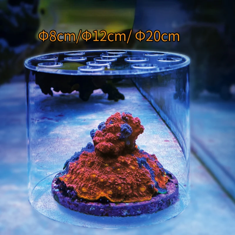 Vastocean Aquarium Acryl-Koral – Aquarium Fertilizer Bewertung und Preis
