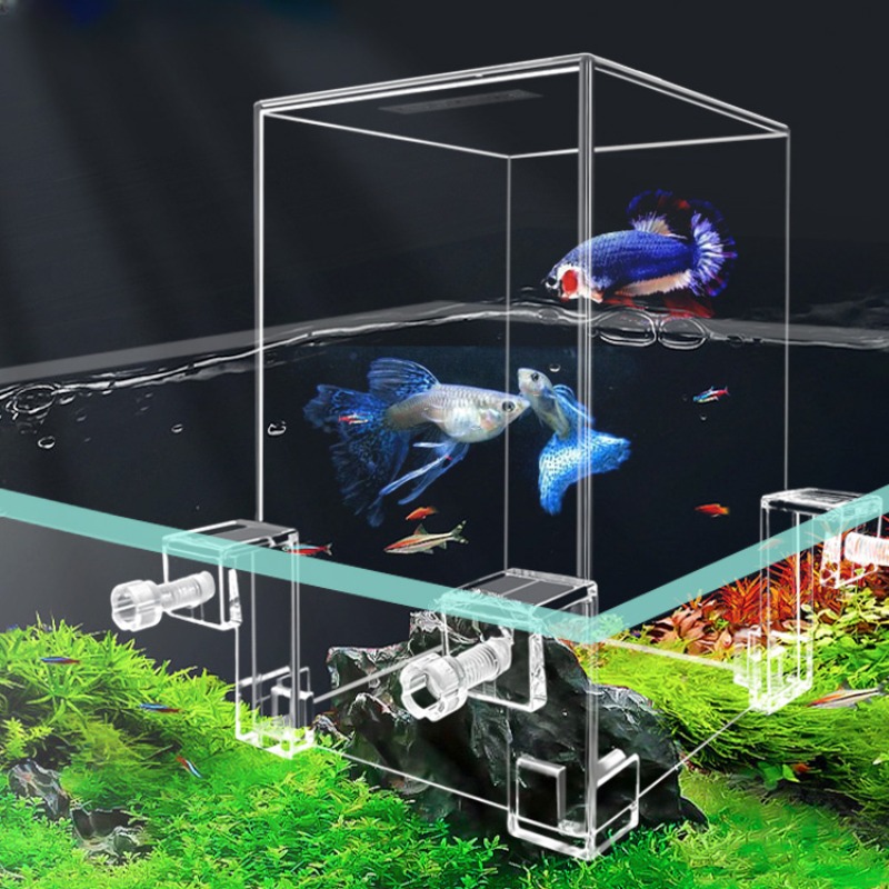 Kreative Aquarien Tanks Unterd – Plant Aquarium Pot Bewertung und Preis