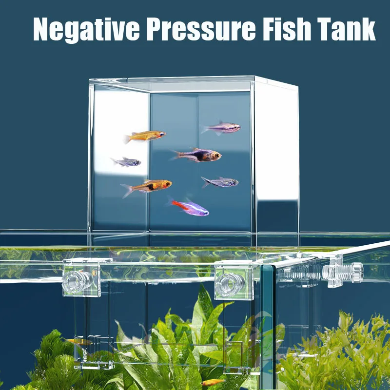 Kreative Aquarien Tanks Unterd – Plant Aquarium Pot Bewertung und Preis