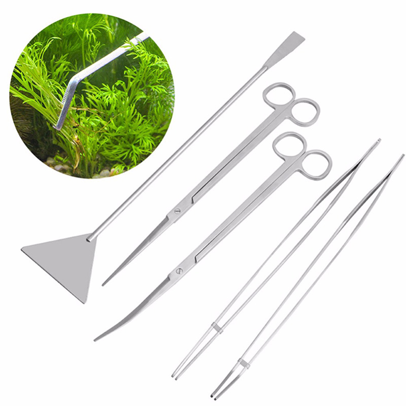 Professionelles Aquarium-Wartu – Live Plant Aquarium Bewertung und Preis