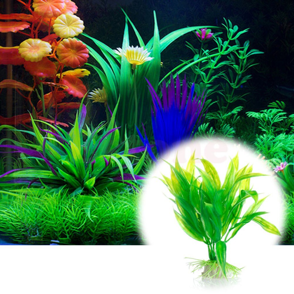 15cm künstliches Aquarium Deko – Live Plant Aquarium Bewertung und Preis