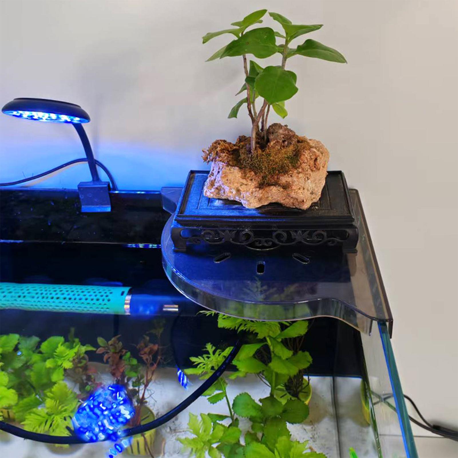 Dreieckiges Aquarium-Eckregal, – Aquarium Plants Live Bewertung und Preis