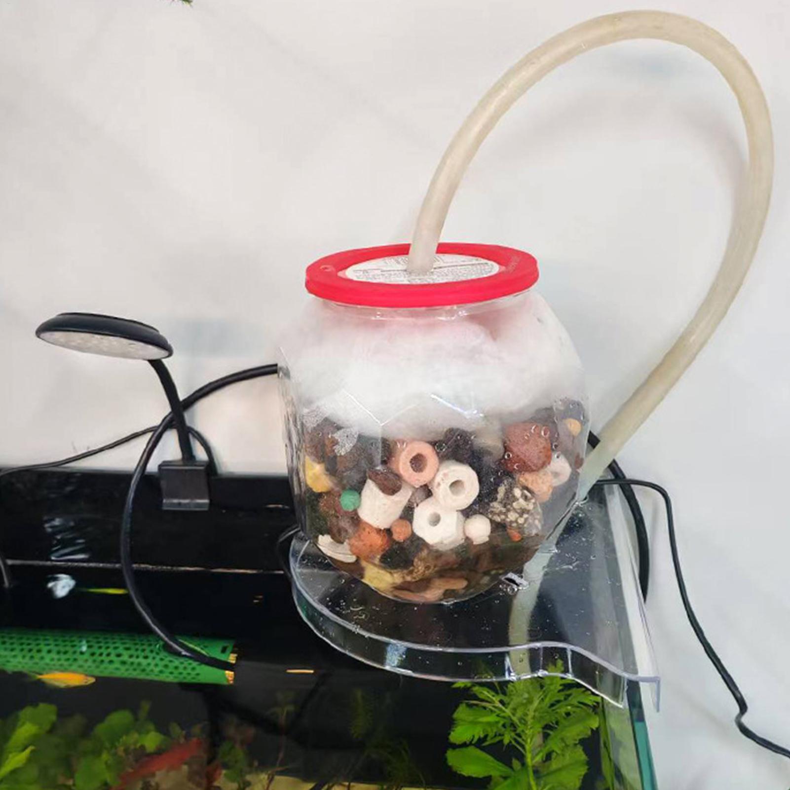 Dreieckiges Aquarium-Eckregal, – Aquarium Plants Live Bewertung und Preis