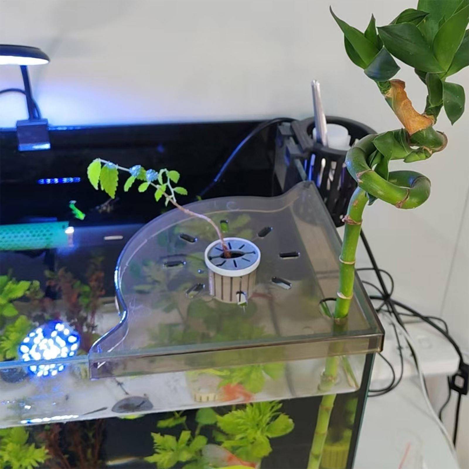 Dreieckiges Aquarium-Eckregal, – Aquarium Plants Live Bewertung und Preis