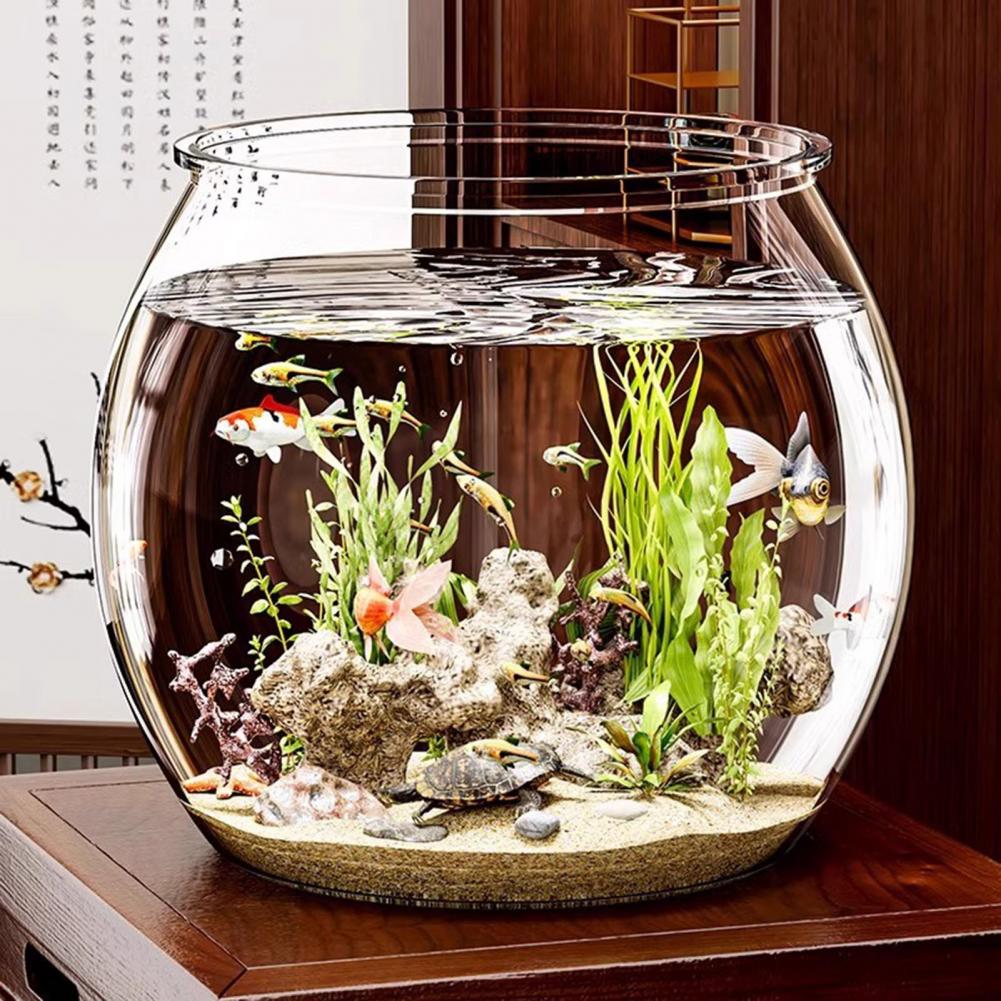 Durchsichtiger runder Fischsch – Plant Aquarium Pot Bewertung und Preis