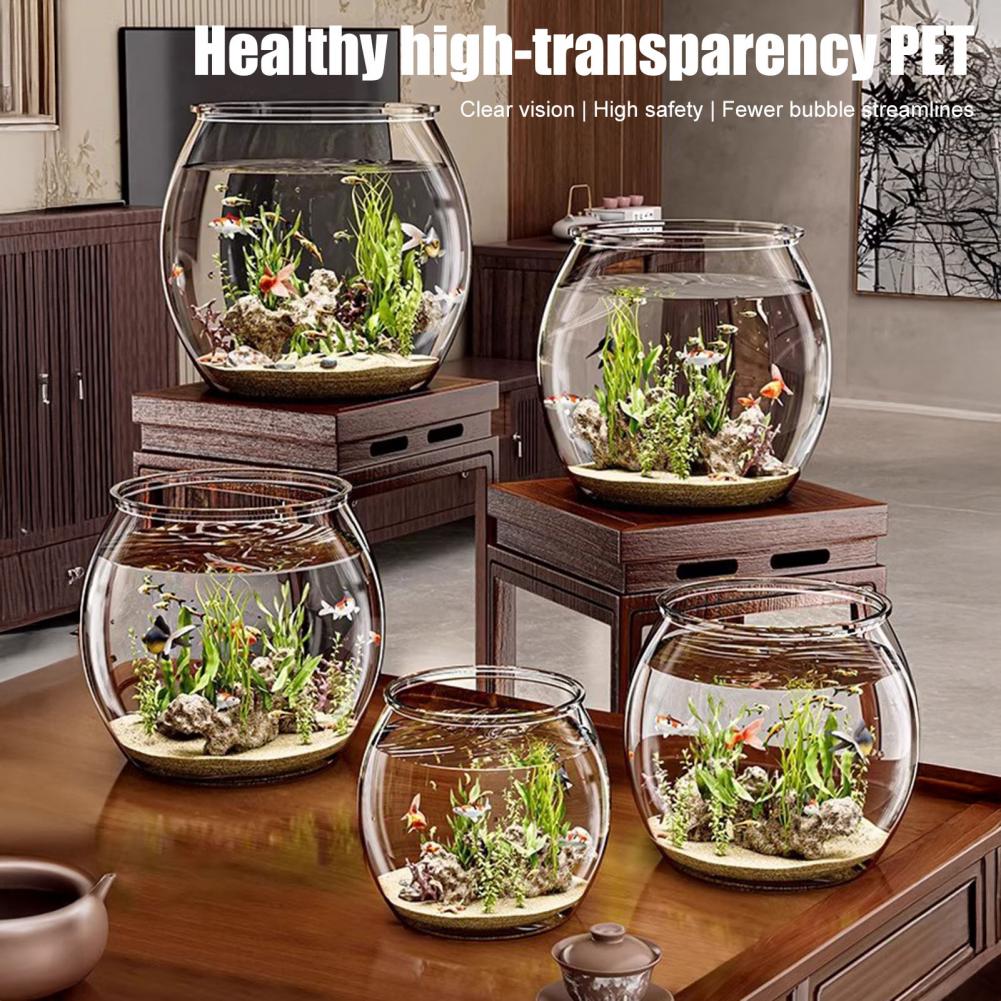 Durchsichtiger runder Fischsch – Plant Aquarium Pot Bewertung und Preis