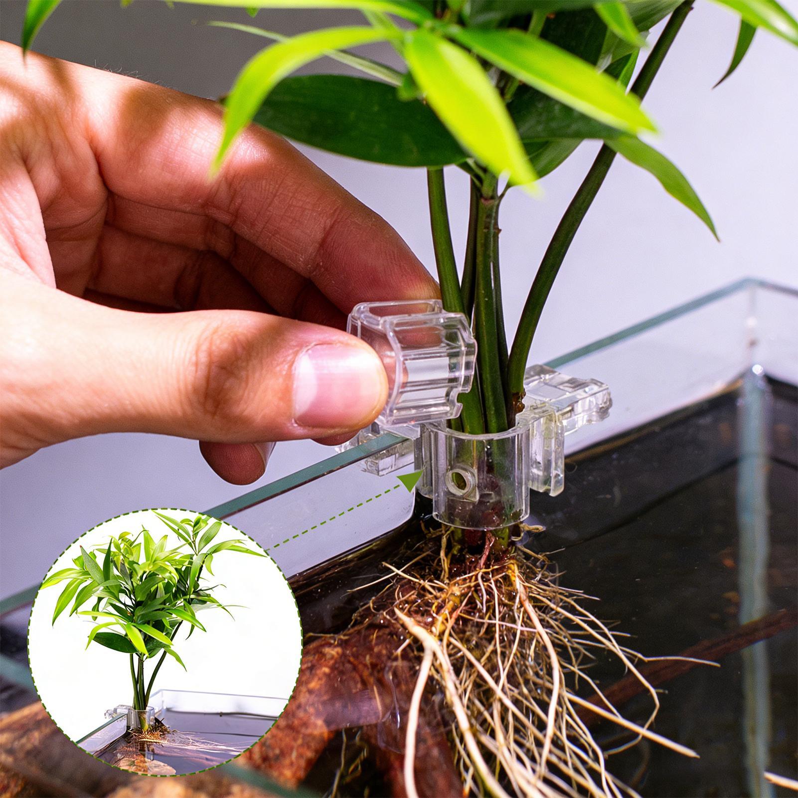 Mini-Aquarium-Pflanztopf 6 Stü – Aquarium Fertilizer Bewertung und Preis