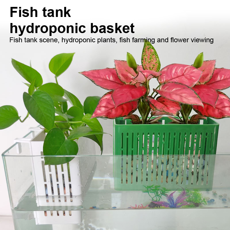 【F】Aquarium-Hängepflanzgefäß,  – Aquarium Plant Holder Bewertung und Preis