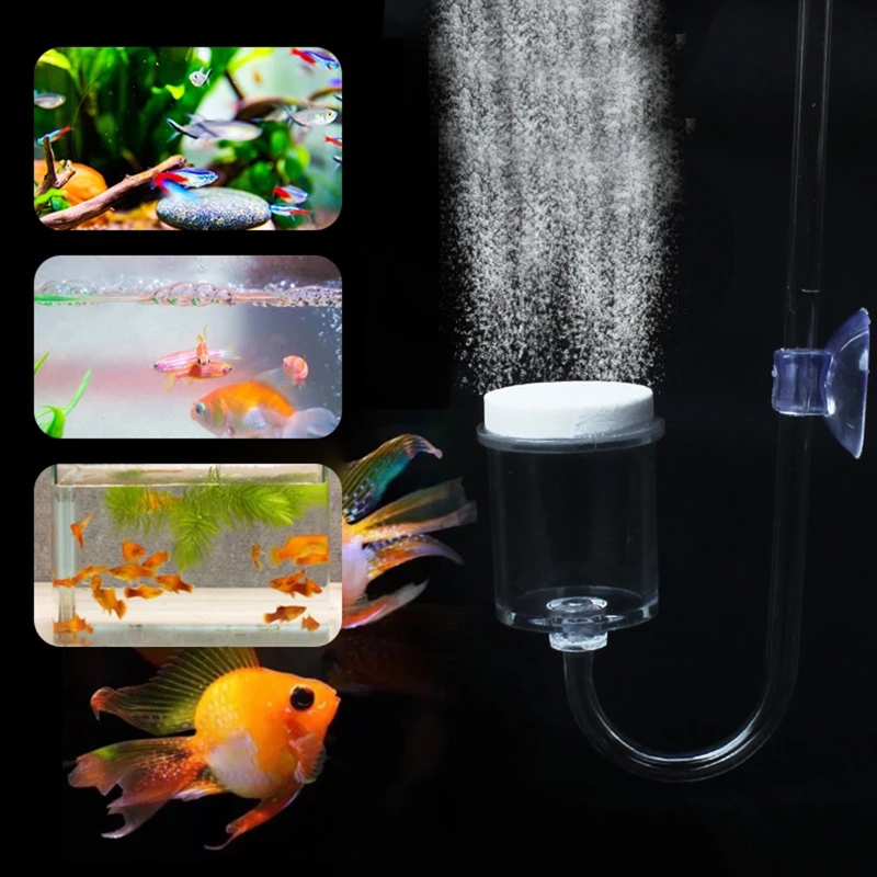 4 stücke Set DIY CO2-Diffusor  – Aquarium Liquid Carbon Bewertung und Preis