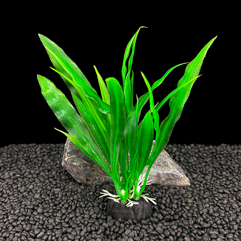 6er-Pack Aquariumpflanzen, grü – Live Plant Aquarium Bewertung und Preis